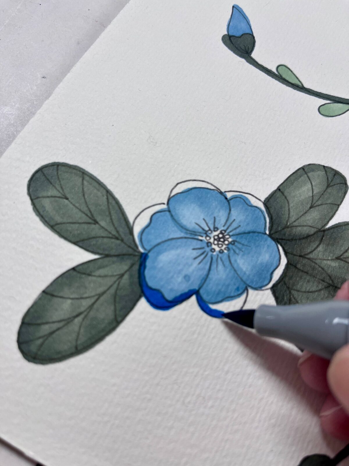 Våren gör sig påmind. Skisser i tusch och vinterdrömmar.